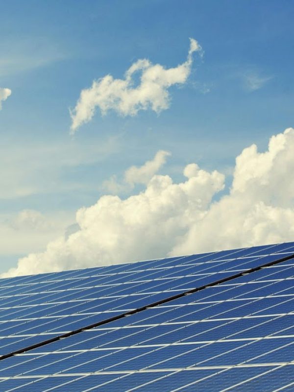 pexels-pixabay-356036